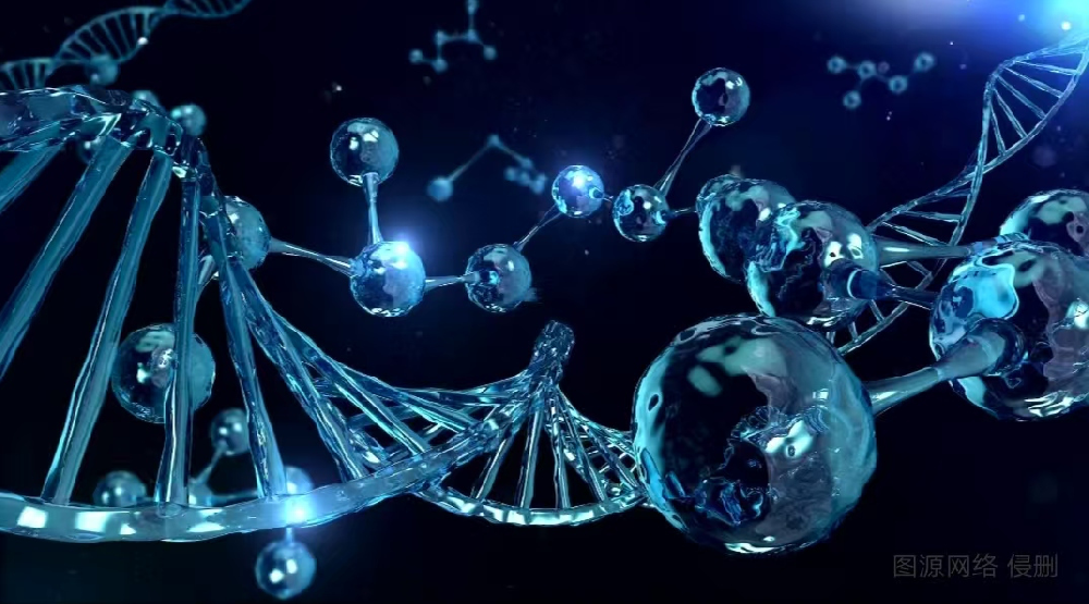 铁氟龙输送带为何这么受欢迎？让我们一起探索它的奥秘吧！！