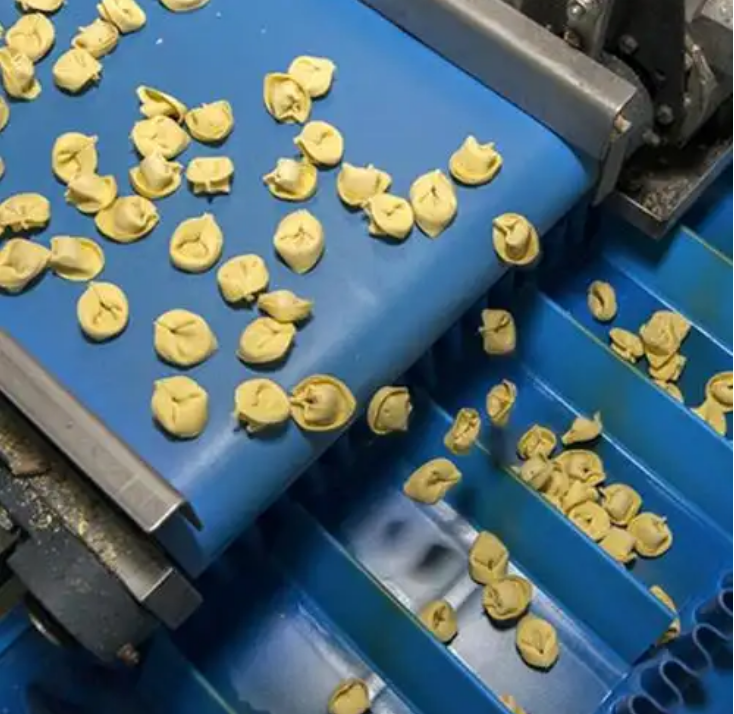 天圳输送带 | 食品加工生产应该使用哪种输送带？